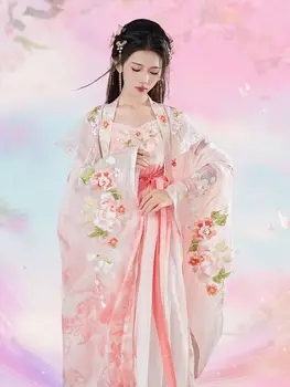 Hanfu kadın Sonbahar Antik Stil Elbise Çin Tarzı Geleneksel Cosplay Kostüm Tang Yapımı Hezi Etek