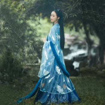 SU Orijinal Xinghe Hanfu kadın Elbiseleri Yaz Çin Tarzı Nakış Geleneksel Kostüm Peri 6 m Hem Mavi Tam Set